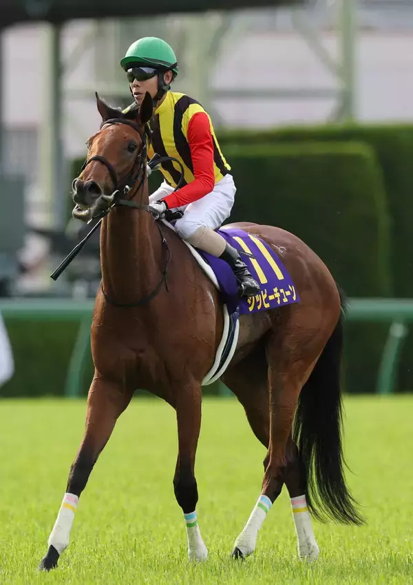 【注目馬動向】桜花賞３着のジッピーチューンは右前肢の剥離骨折が判明　社台グループオーナーズが発表