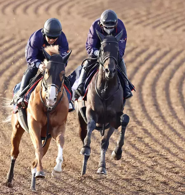 【天皇賞・春・１週前】ヘデントールは連覇へ調整狙い通り　陣営「トップスピードのまま長く走らせることができた」