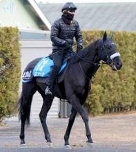 【読売マイラーズＣ】京都金杯Ｖブエナオンダの最終調整は角馬場でじっくり　陣営「馬体にガタも来ていない」