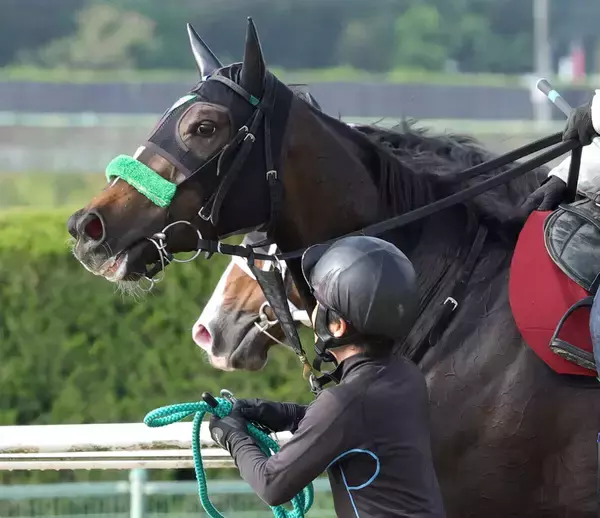 【ヴィクトリアＭ・土曜気配】東京競馬場に無事到着した２５年秋華賞２着エリカエクスプレス　陣営も「落ち着いています」と納得