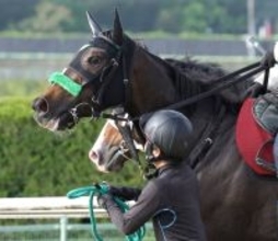 【ヴィクトリアＭ・土曜気配】東京競馬場に無事到着した２５年秋華賞２着エリカエクスプレス　陣営も「落ち着いています」と納得