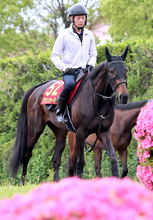 【オークス】アランカールは１６年女王の母と同じ２枠３番　斉藤崇調教師「極端な外は嫌でしたから…」