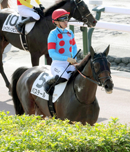 日本ダービー３着の川田将雅騎手に過怠金３万円　５着の横山和生騎手は同１万円