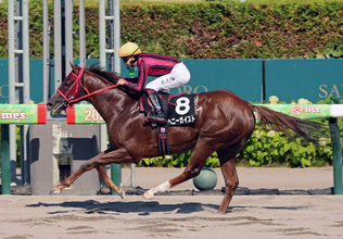 【注目馬動向】３連勝でオープン入りのヘニーガイストはグリーンチャンネルＣ→武蔵野Ｓ　エコロブルームは京成杯ＡＨで復帰