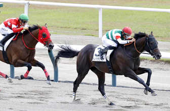 【新潟２Ｒ・２歳新馬】おばに桜花賞馬ハープスターのウラノグラフィアが初陣Ｖ　岩田望来騎手「勝ち負けできると思っていた」