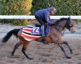 【有馬記念・超ブル診断データ編】鞍上ルメールで信頼度は爆上がり！　紅一点レガレイラは３連系の揺るぎない軸