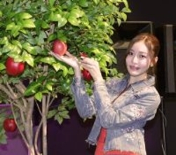 王林なのに「王林より好きですね」というリンゴ品種がある？…大阪で青森りんごコラボ企画ＰＲ