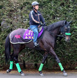 「【オーシャンＳ】一昨年のスプリンターズＳ覇者ルガルは３枠５番　連覇を狙うママコチャは７枠１４番　枠順決定」の画像1