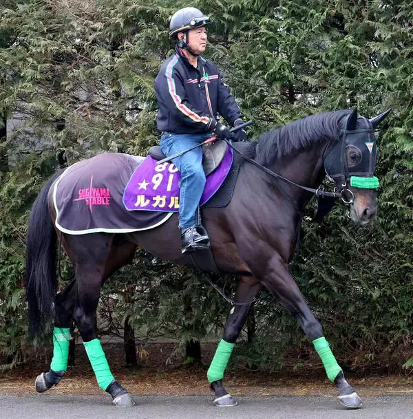 【オーシャンＳ】一昨年のスプリンターズＳ覇者ルガルは３枠５番　連覇を狙うママコチャは７枠１４番　枠順決定