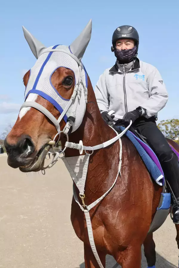 【注目馬動向】大阪杯に向けてメイショウタバルが本格始動　石橋調教師「首を使って走ってくれるようになれば」