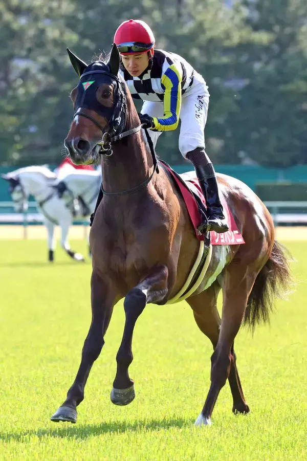 「【注目馬動向】ジョバンニも香港のＱＥ２世Ｃへ　ミュージアムマイルやマスカレードボールなど日本馬が続々参戦」の画像