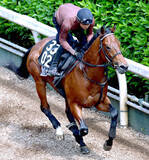 「【ユニコーンＳ】決め手鋭いシルバーレシオが砂の新星に名乗り　出世候補に野中調教師「楽しみだよ」と大きな期待」の画像1