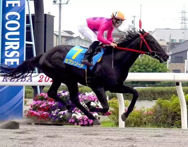 【浦和競馬】西啓太騎手が新馬戦連勝「能力試験から能力の高さを感じていた」ヤングウォーリアと「スピードがある」セブンソード