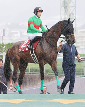 【ローズＳ】オークス７着エンネは２着で秋華賞切符ゲット！「勝ち馬が強過ぎました」坂井瑠星騎手も脱帽