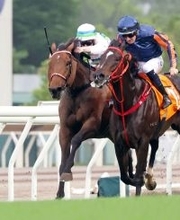 香港のマイルＧ１馬ヴォイッジバブルが安田記念に参戦決定！　鞍上はザカリー・パートン騎手
