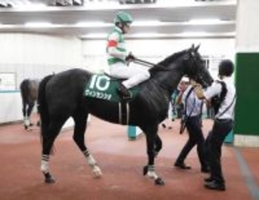 【中日新聞杯】走り慣れた芝の中距離で巻き返し期すヴィンセンシオ　森一調教師「古馬が相手でも…」