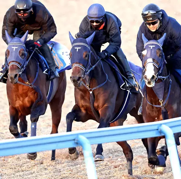 【京成杯】完璧デモ！３頭併せで馬なり最先着「互角以上だと思う」手塚久調教師ソラネルマンに期待