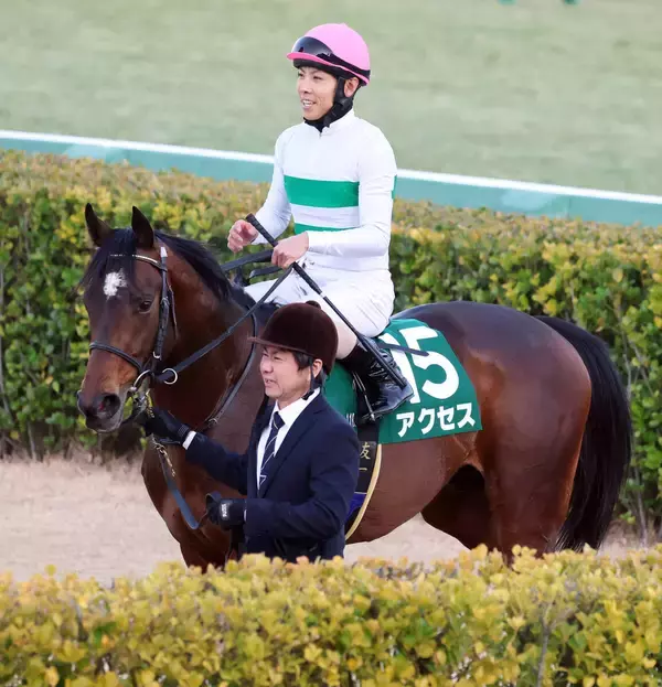 【京成杯】北村友一騎手「外枠は難しさがありました」３番人気のアクセスは９着　キセキ産駒の重賞初挑戦Ｖはならず
