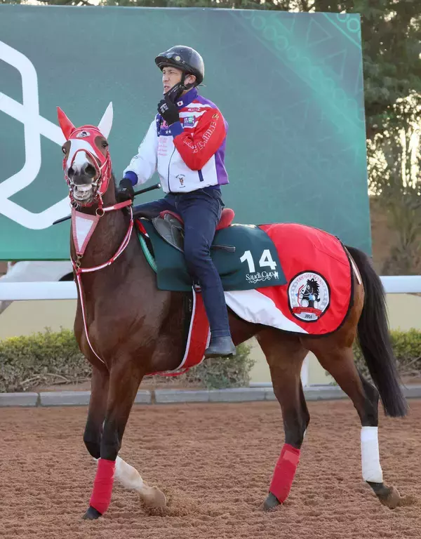 【ヤマタケが見た】フォーエバーヤングの受賞は最高の「伏線回収」　矢作調教師にとって特別な１頭の名牝