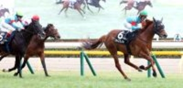 【東京９Ｒ・ゆりかもめ賞】単勝１倍台のアローメタルは２着　ルメール騎手「ちょっと太かった。緩いね」