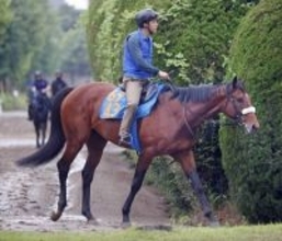 今週がラスト週の国枝栄厩舎サトノエピックは中山記念に向かわず土曜の仁川Ｓへ　美浦所属馬の次走予定