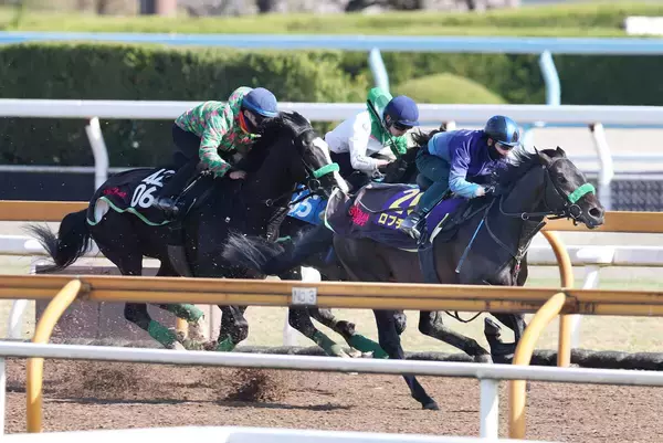 【皐月賞・１週前】ホープフルＳ覇者のロブチェンは３頭併せで最先着　松山弘平騎手「時計的にも十分」