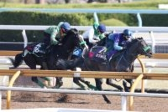 【皐月賞・１週前】ホープフルＳ覇者のロブチェンは３頭併せで最先着　松山弘平騎手「時計的にも十分」