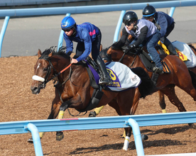 【皐月賞・１週前】３頭併せで豪快に最先着！すみれＳを勝ったラージアンサンブル　武井調教師は「成長著しいです」と期待