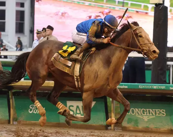 昨年の米年度代表馬のソヴリンティが始動　強豪激突にネット「伝説のＧ２になる」１８日オークローンハンデ