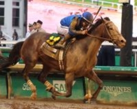 昨年の米年度代表馬のソヴリンティが始動　強豪激突にネット「伝説のＧ２になる」１８日オークローンハンデ