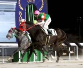 【名古屋競馬】山田祥雄騎手が地方通算１０００勝達成　２０日９Ｒのジョーテルプジで