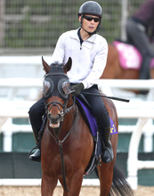 【ラジオＮＩＫＫＥＩ賞】斉藤崇調教師「どういう基準でこれだけのハンデ差が…」登録のあったサウンドムーブは回避