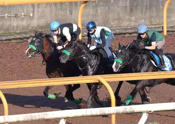 【関屋記念・１週前】復活したエルトンバローズがさらに上昇気配　猛暑にも陣営「引き続きいい状態で臨めます」