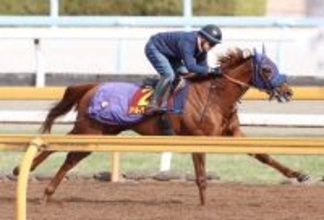 【阪神ＪＦ・山下が見た】アルバンヌは雄大なフットワークで大物感たっぷり