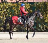 「【ＰＯＧ】セレクト３・３億円馬ペイジャーに福永調教師は大きな期待「非常に高い能力を感じている」」の画像1