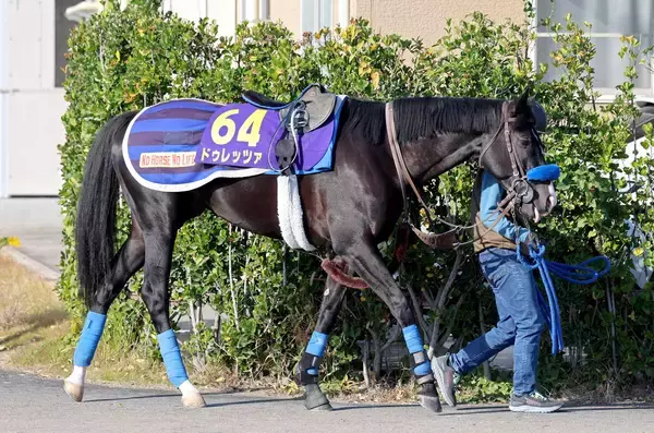 【注目馬動向】ドゥレッツァがドバイ・シーマクラシックに予備登録