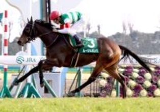 【競走伝】「強い馬は調教師要らず、と…」凄まじい末脚の“怪物牝馬”が半世紀ぶりの牝馬Ｖ　２０１５年きさらぎ賞