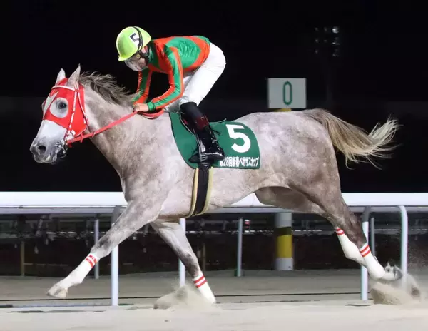 【スプリングＣ】強すぎる一人旅！単勝１・０倍アストラビアンコが重賞３連勝　細川智史騎手「自分との戦いという感じで乗りました」