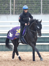 【大阪杯】昨年の日本ダービー馬クロワデュノールが再出発　斉藤崇調教師「もう１回、一番強いところを見せないと」