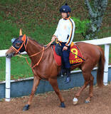 「【桜花賞】スターアニスが坂路で圧巻の動き　高野調教師「エネルギーがパンパンの状態で桜花賞へ」 　」の画像1