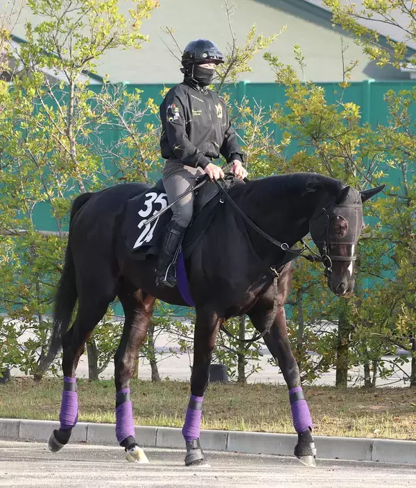 【青葉賞】ダービー３勝の名門厩舎が送り込むブラックオリンピアが重賞Ｖで本番へ　友道調教師「前走は期待通り」