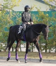 【青葉賞】ダービー３勝の名門厩舎が送り込むブラックオリンピアが重賞Ｖで本番へ　友道調教師「前走は期待通り」