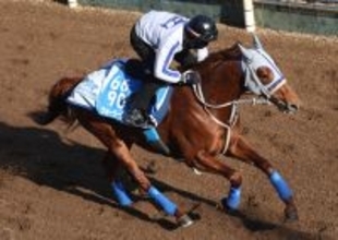日曜京都競馬場の注目激走馬…京都１１Ｒマイラーズカップ・Ｇ２