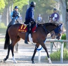 【注目馬動向】ヴィクトリアマイル１１着のボンドガールは放牧へ　夏に一戦挟むか検討　手塚貴久調教師「いい競馬だった」