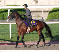 【宝塚記念】１５番枠に決まった日経賞勝ち馬マイユニバースは心身両面で充実　武幸調教師「何の不安もないです」