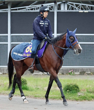 【ラジオＮＩＫＫＥＩ賞】小回りの福島開幕週は先行有利！脚質合い競馬センス良いディールメーカーが面白い
