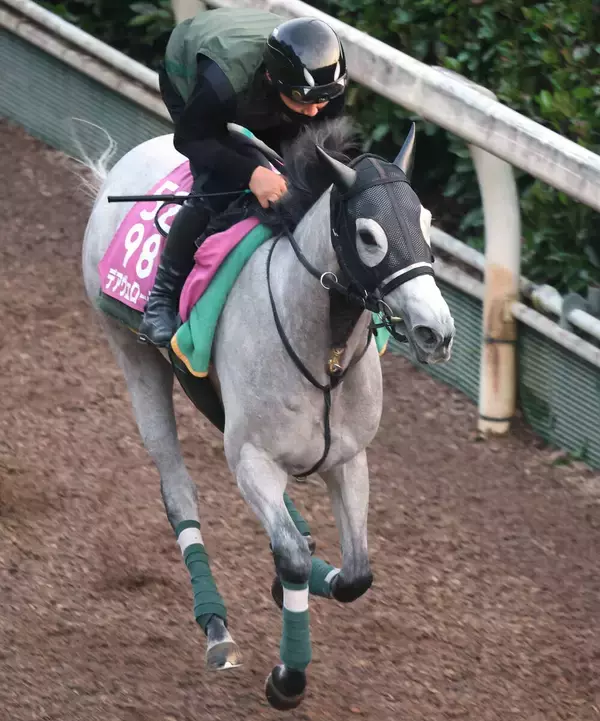 【北九州記念・特選有力馬チェック】唯一の３歳牝馬デアヴェローチェは買うべき？