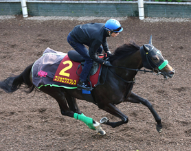 【注目馬動向】ヴィクトリアマイル４着のエリカエクスプレスはクイーンＳへ　鞍上は引き続き武豊騎手