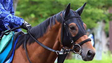 【新潟２歳Ｓ・浅子の特注馬】買い材料いっぱいのレッチュベルク　前走パフォ＋久保田厩舎の勝利数ダントツ１位の鞍上…
