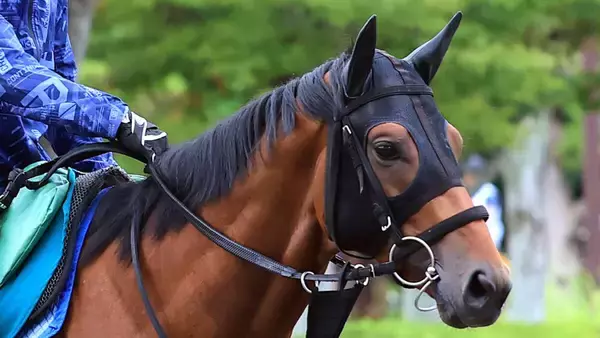 【新潟２歳Ｓ・浅子の特注馬】買い材料いっぱいのレッチュベルク　前走パフォ＋久保田厩舎の勝利数ダントツ１位の鞍上…